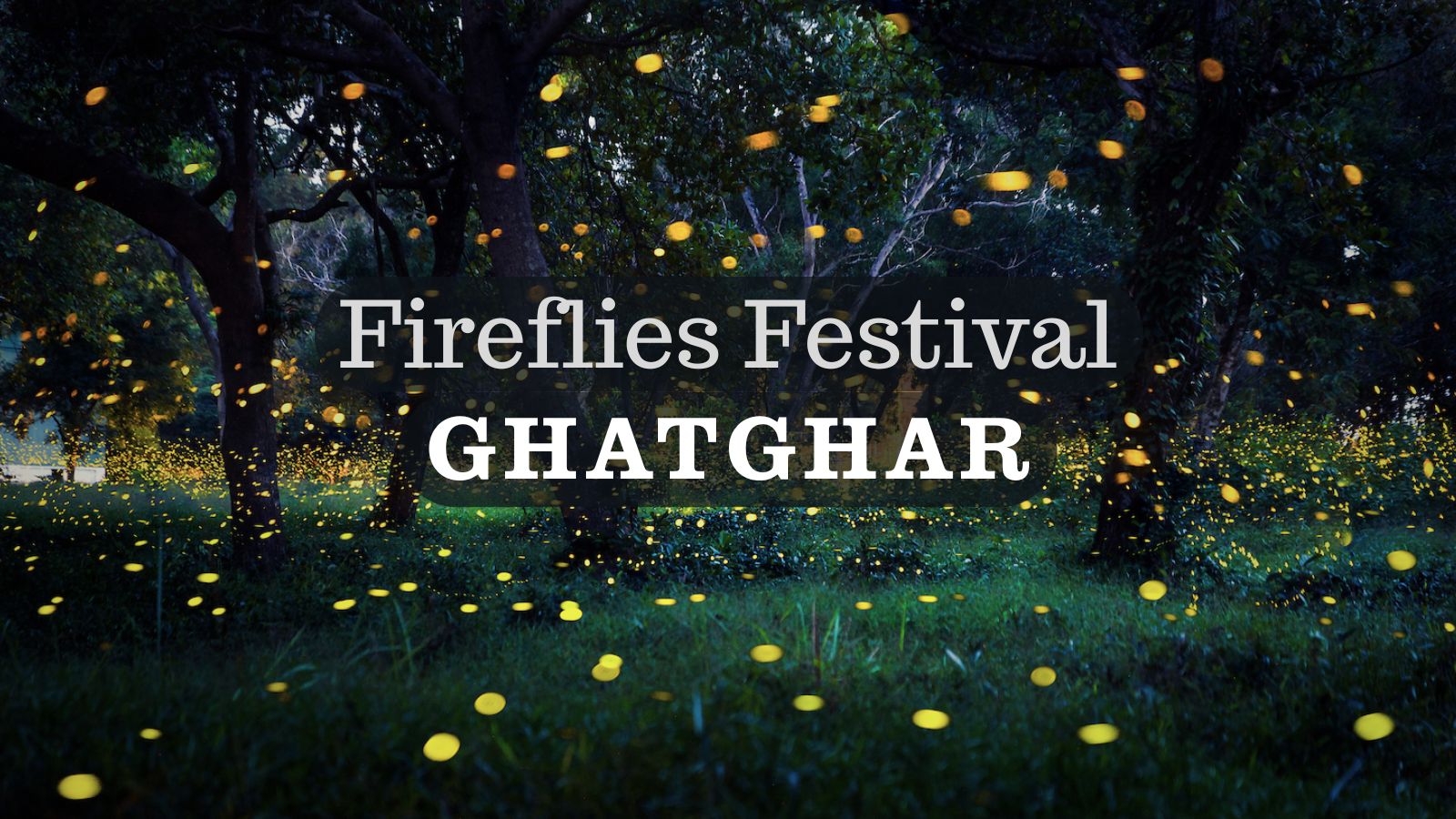 Ghatghar Fireflies glowing near forest trails at night