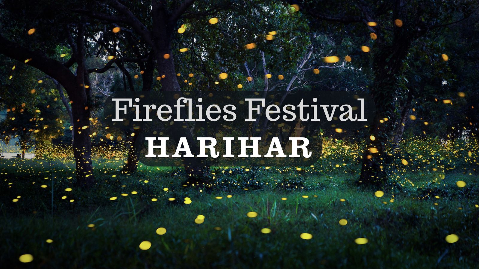 Fireflies glowing during Fireflies Festival at Harihar Fort