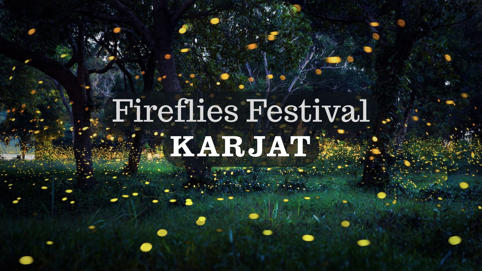 Karjat Fireflies glowing near jungle trail at night