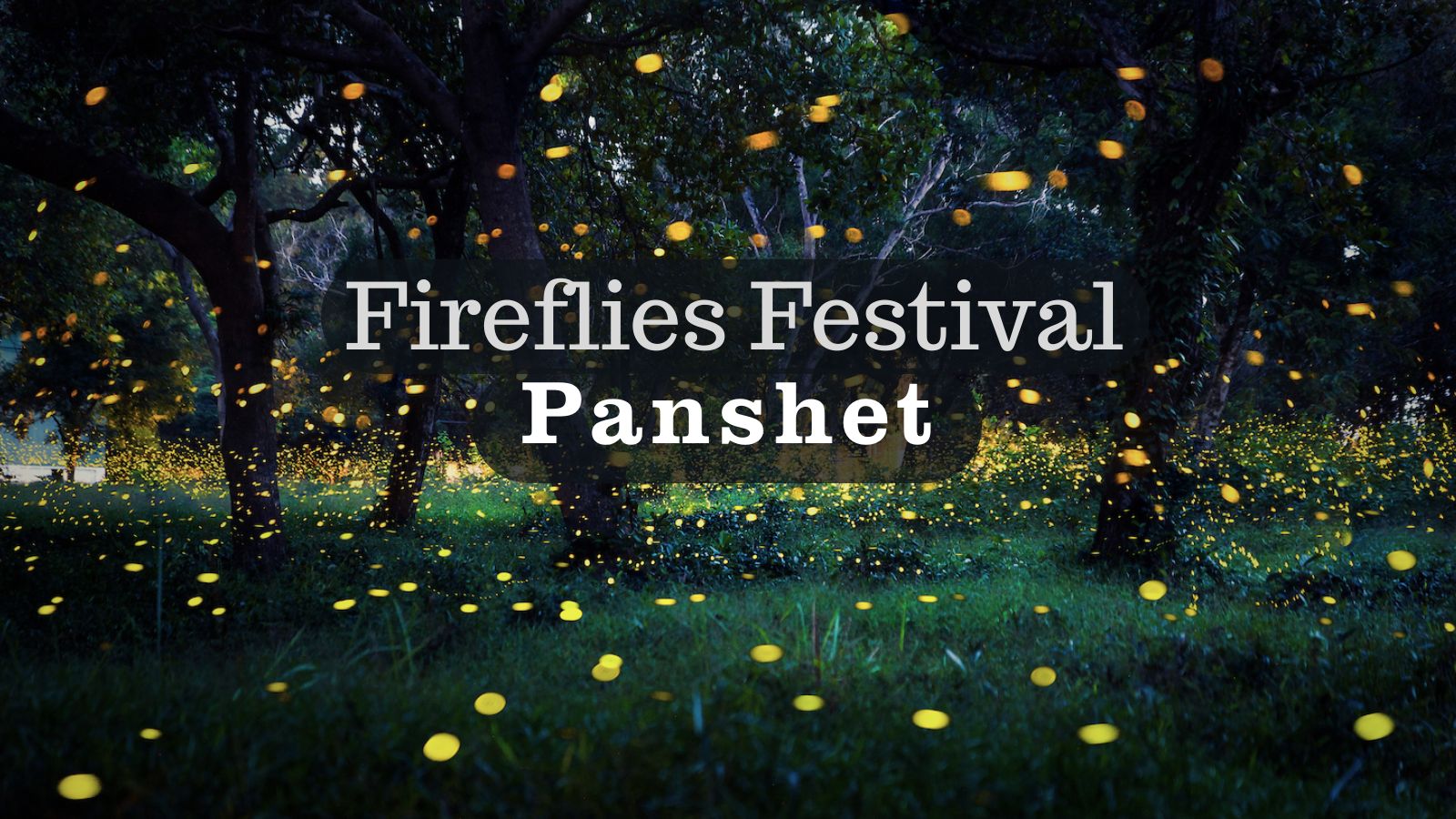 Panshet Fireflies Festival 2025 – Glowing Trails