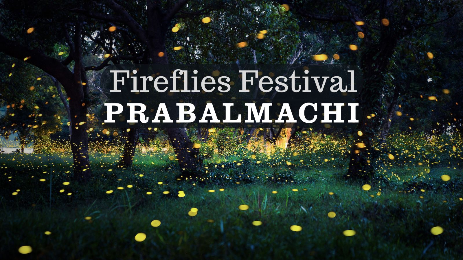 Fireflies glowing near Prabalmachi village forest trail at night