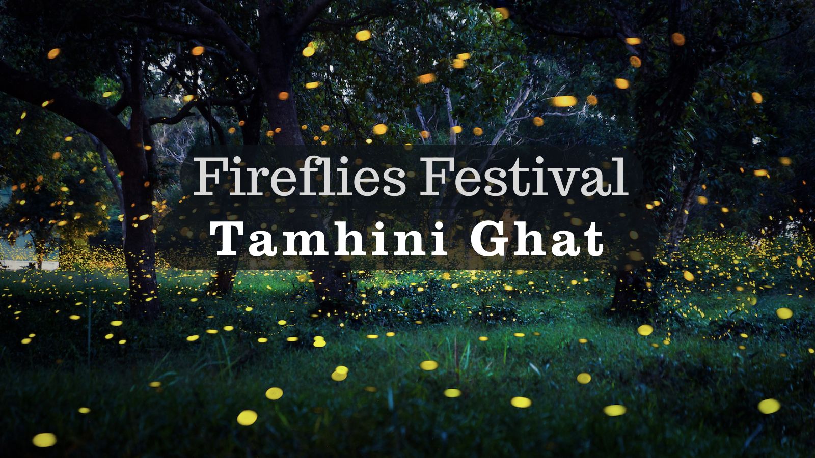 Tamhini Fireflies Festival 2025 – Magical Glow Trails