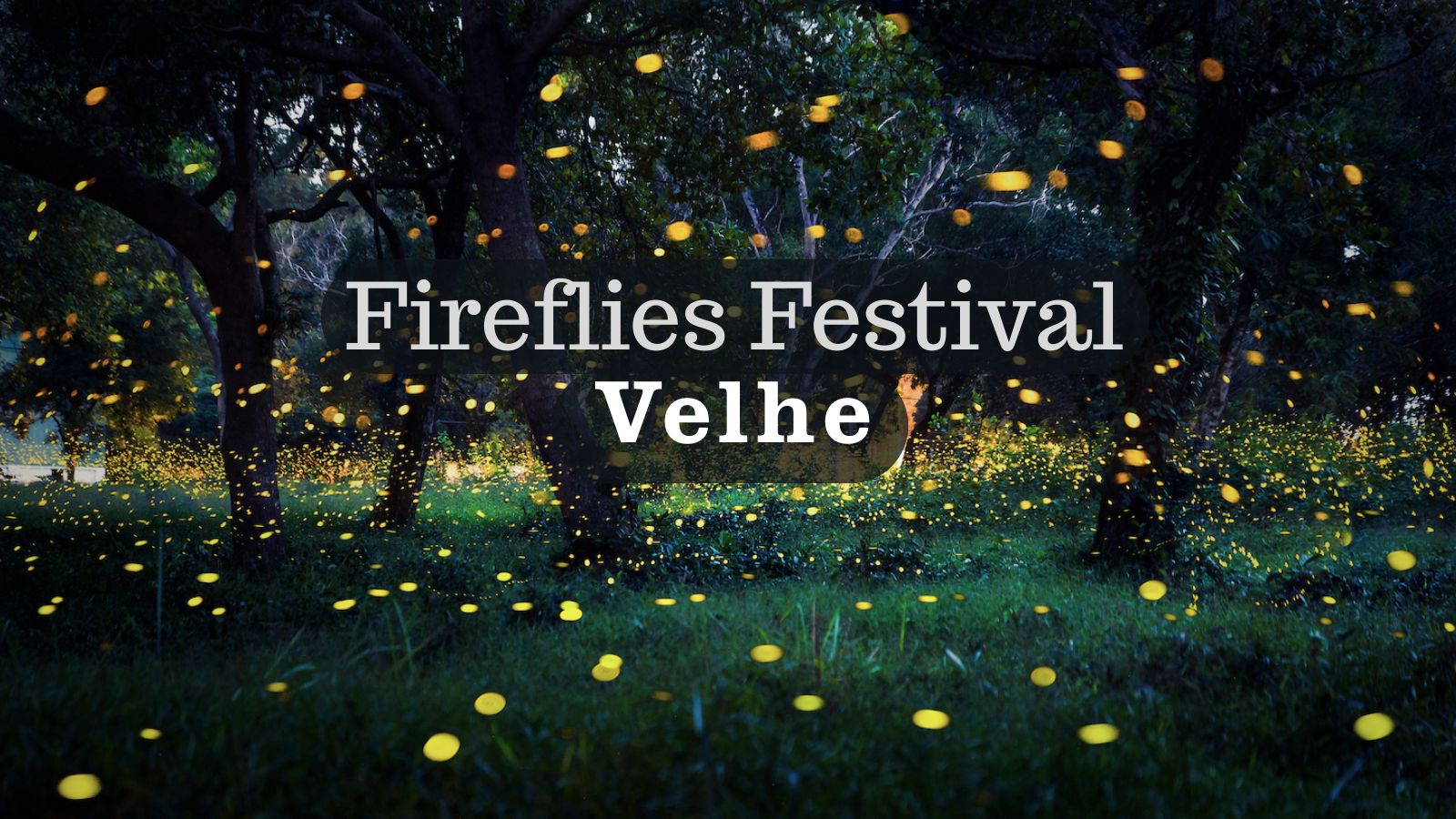 Velhe Fireflies Festival 2025 – Magical Glow Trails